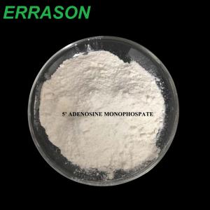 5'- Adenosine Monophosphate Free Acid CAS 61-19-8