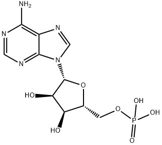 5'- Adenosine Monophosphate Free Acid CAS 61-19-8