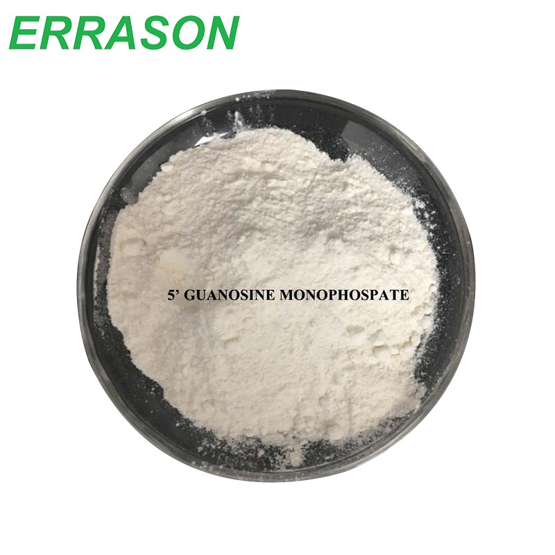 5'-Guanosine Monophosphate Disodium Salt CAS 5550-12-9 