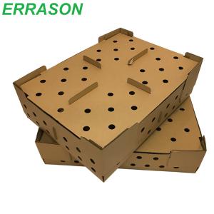 Cardboard Transport Box for Chicken