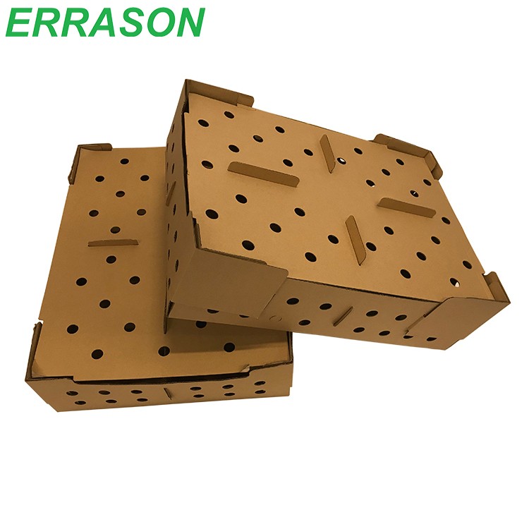 Cardboard Transport Box for Chicken