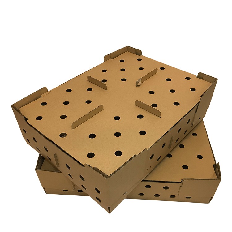 Cardboard Transport Box for Chicken