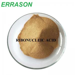 Ribonucleic Acid CAS 63231-63-0 Ribonucleic Acid CAS 63231-63-0