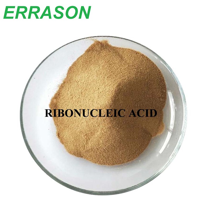 Ribonucleic Acid CAS 63231-63-0